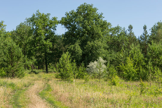 Landscape images of nature near the village of Cheremukhovo, Samara region