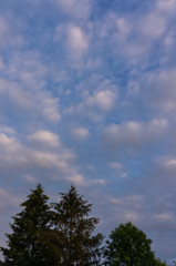 Landschaft im Sommer