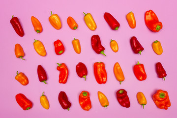Red, orange and yellow bell peppers are lined on a pink background.