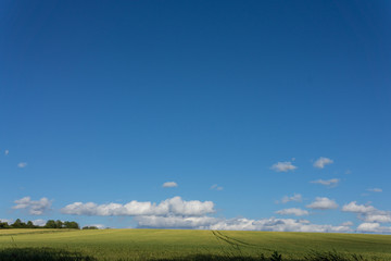 Obraz premium Landschaft im Sommer
