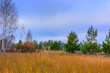 Fototapeta premium Landscape images of nature in Syzran district