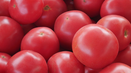 There are many of ripe  at the rural market. The red tomatoes background.