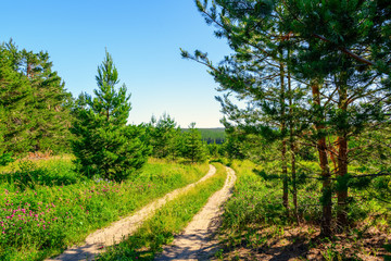Fototapeta na wymiar Landscape images of nature on a clear Sunny day near the village of Troitskoye, Samara region