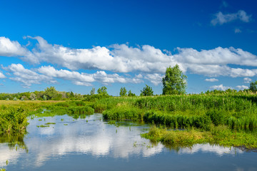 Obraz na płótnie Canvas Landscape images of nature on a clear Sunny day near the village of Troitskoye, Samara region