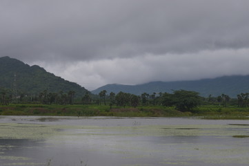 fog over the lake