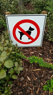 Hundeschei&szlig;e