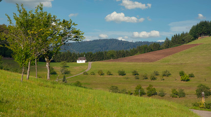 Landschaft im Schuttertal im Schwarzwald