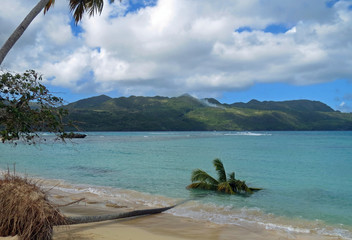 La playita presqu'ile de samana en république dominicaine