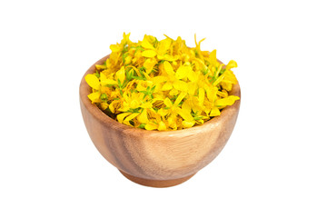 Hypericum perforatum, St Johns wort or tutsan plant isolated on white background.