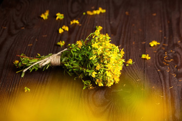 Hypericum perforatum or St johns wort herb bouquet tied with linen rope on dark wooden background