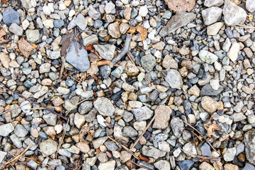 Stones of different sizes on the beach in summer.