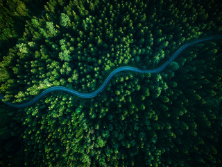 Curvy Road in Dark Wild Woodlands. Top Down Drone View. Outdoor Adventure Road Trip