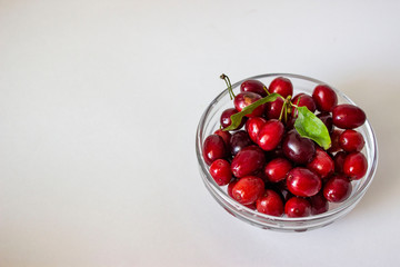 Ripe dogwood in a glass bowl. Red, oblong maroon berries, green leaf. Grey-blue background.