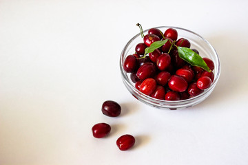 Ripe dogwood in a glass bowl. Red, oblong maroon berries, green leaf. Grey-blue background.