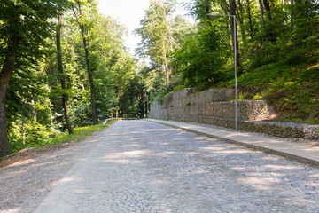 Fototapeta premium Cobblestone road in the wood with rock structure to prevent landslide