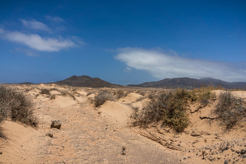 Deserted sandy expanses of the Jandia Peninsula. Fuerteventura. Canary Islands. Spain.
