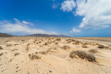 Naklejka premium Deserted sandy expanses of the Jandia Peninsula. Fuerteventura. Canary Islands. Spain.