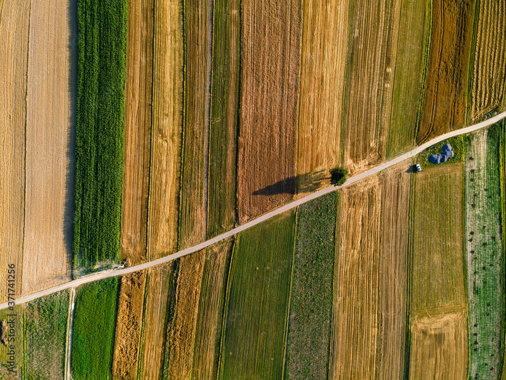 Wall mural rural road in colorful farmfields in countryside. top down drone view