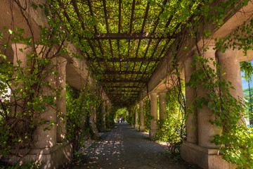 Wroclaw, Poland 04 August 2020; A very nice pergola around the Centennial Hall in Wroclaw.