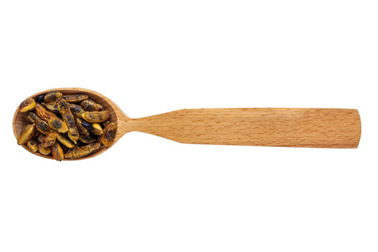 Dried Styphnolobium japonicum in a wooden spoon on a white background. Phytotherapy and disease prevention. Herbal collection for medicinal tinctures. Herbal tea in folk medicine