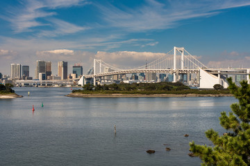 Fototapeta premium Rainbow bridge and Tokyo cityscape, view from Odaiba island across Tokyo Bay