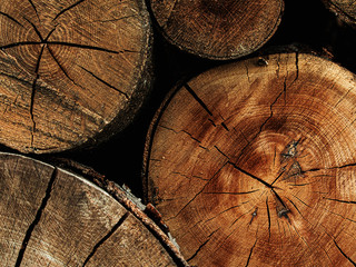 Holz  Hintergrund Landwirtschaft Natur Saarland Maserung Risse im Holz Karakter Naturprodukt Forst Wald nachhaltig Biosphäre Bio Möbel 