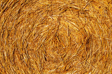Stroh Hintergrund Landwirtschaft Natur Saarland 
