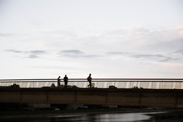 bridge over the river