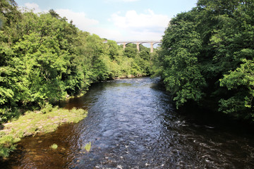Fototapeta na wymiar river in the forest at Pontcysyllte aqueduct