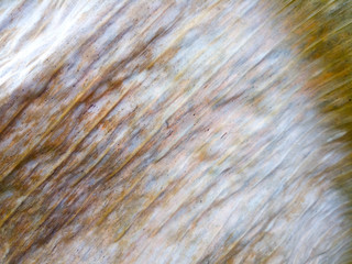 Dead banana leaves Make a natural background