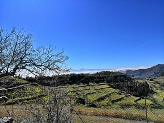 Naklejka premium rhdr