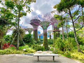Popular tourist destination Gardens by the Bay in Marina Bay area in Singapore, Southeast Asia with...