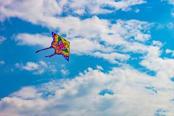 kite flying in the sky