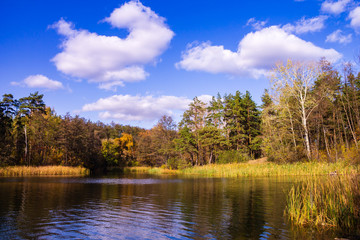 Fototapeta premium autumn in the park