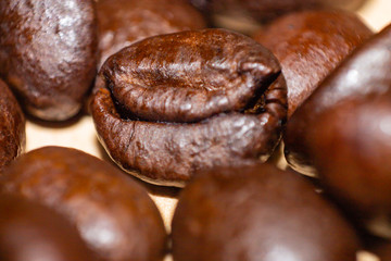 coffee beans background