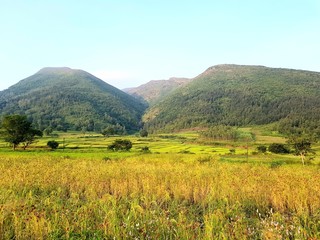 Fototapeta premium Nature lover's point in Araku Valley