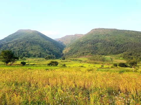 Nature lover's point in Araku Valley