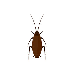 Cockroach icon. Vector illustration. Flat design.