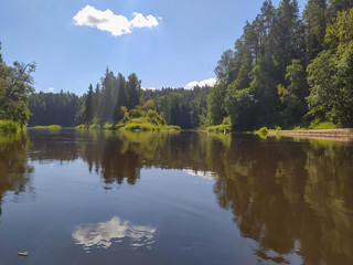 Wild nature and beautiful resting place. Magical natural landscape. forest with a channel.