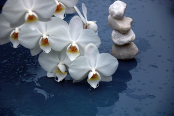 Obraz na płótnie Canvas orchidee gestapelte steine ausgeglichenheit