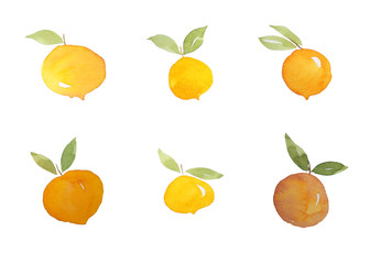 orange peach fruit watercolor painting