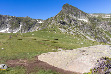 Landscape of Rila Mountan near The Seven Rila Lakes, Bulgaria