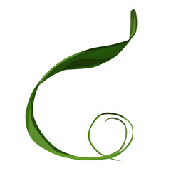 Beautiful green leaf illustration on white background. Stylish design