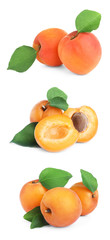 Set of fresh apricots on white background