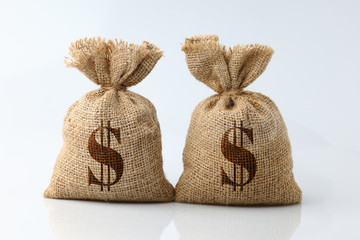 Money in sack 2 bags with wooden model house isolated on white background.