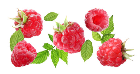 Set of fresh raspberries with green leaves on white background. Banner design