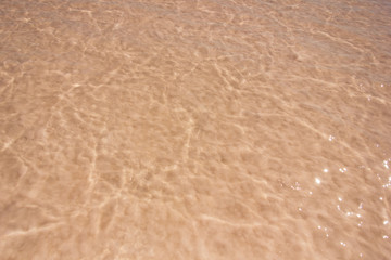 Close-up of the water of the salty pink lake Bursol (Altai Territory).