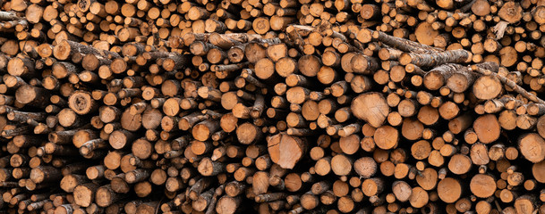 Stock of timber. Timber industry
