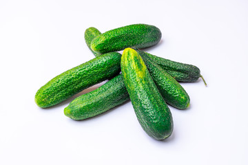 Cucumber