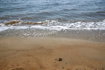 Close-up of sand on the beach and water of the Yarovoe salt lake (Altai Territory).